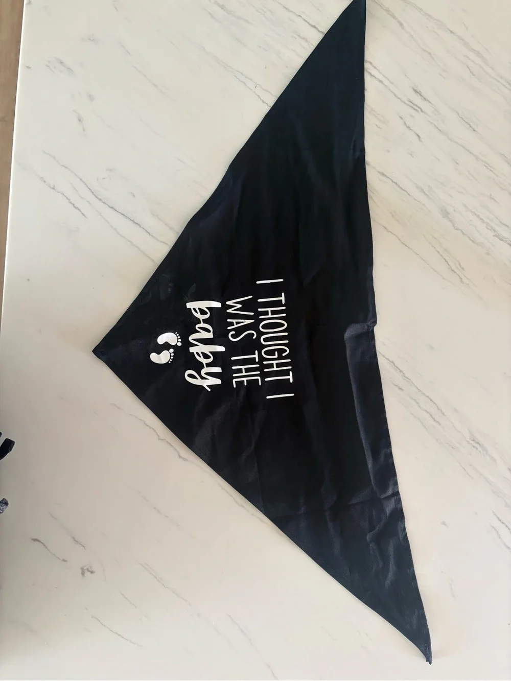 Black Dog Bandana/Bib - 'I Thought I Was The Baby'